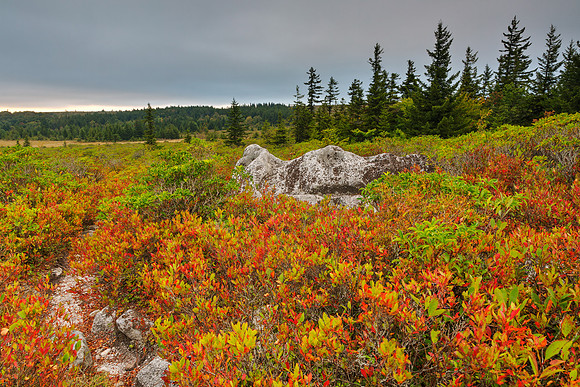 Cloudy Dolly Sods Sunset