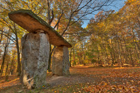 Autumn Megalith Forest