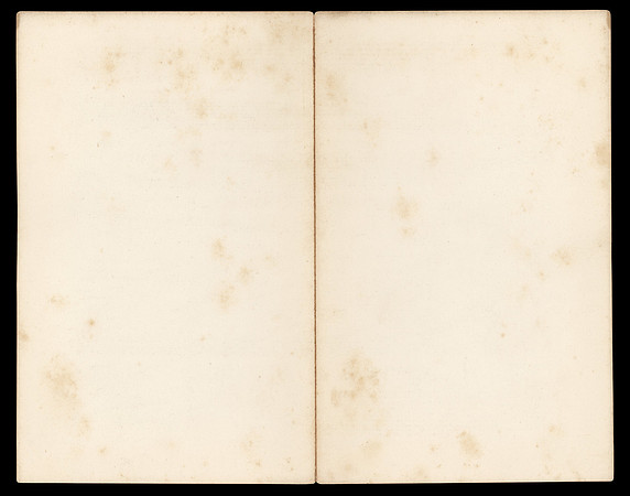 Vintage Blank Page Spread 2