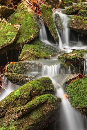 Mossy Rohrbaugh Waterfall
