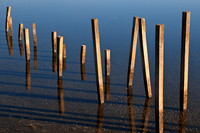 Walking Water Stilts