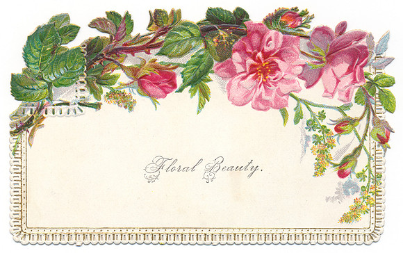 Vintage Calling Card - Floral Beauty