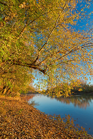 Golden Potomac Hour