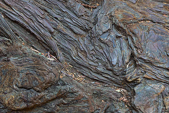 Worn Wood Texture