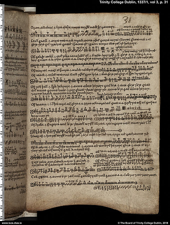 MS 1337 / Book of Ogams (page 31)