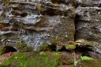 Old Guard of Rock City