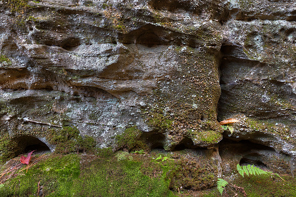 Old Guard of Rock City