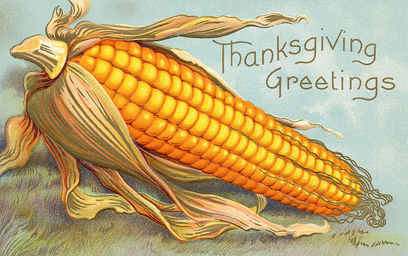 Vintage Postcard - Corn Thanksgiving
