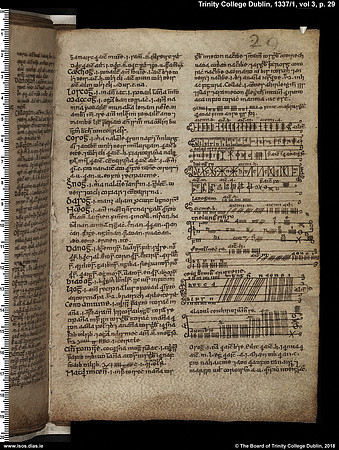 MS 1337 / Book of Ogams (page 29)