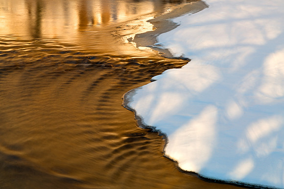 Gold Winter Stream
