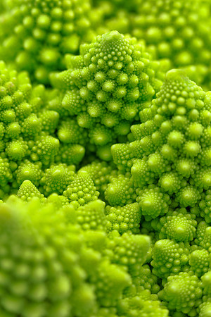 Macro Romanesco Broccoli