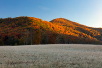 Golden Autumn Thaw - Cades Cove