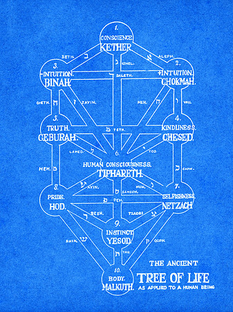 Vintage Blueprint Diagram - Ancient Tree of Life