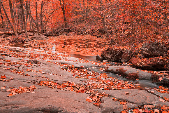 Ruby Hollow Whirlpool