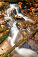 Hammer Branch Autumn Stream