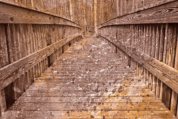 Acrylic Sepia Bridge