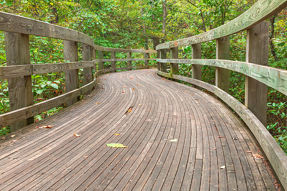 Boardwalk Storybook Trail