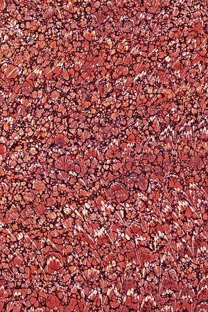 Marbled Passion