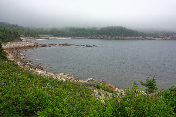 Cape Breton Fog