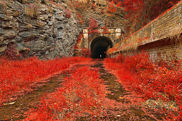 Paw Paw Tunnel - Autumn Fantasy