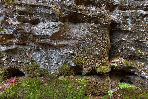 Old Guard of Rock City