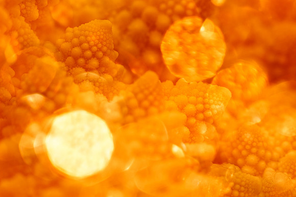 Macro Romanesco Broccoli - Bokeh Gold