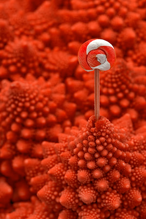 Red Romanesco Lollipop