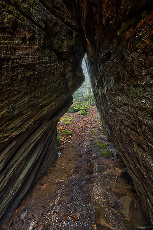 Weeping Rock Prophet