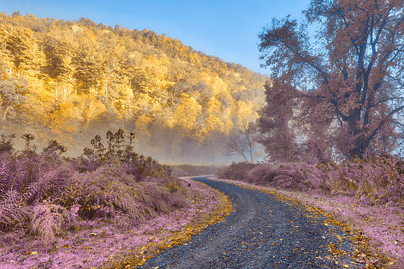 Misty McDade Trail - Gold Lavender Fantasy