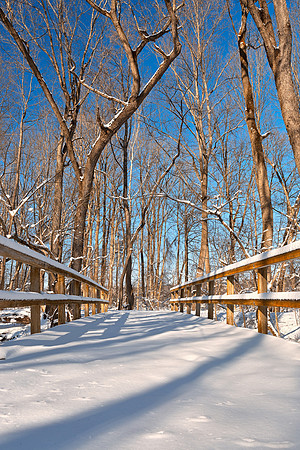 Susquehanna Winter Bridge