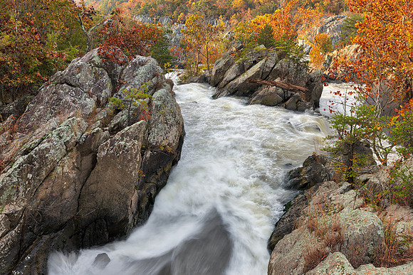 Autumn Potomac Rapids - Olmsted Island