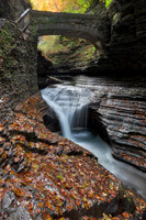 Gorge Bridge Stream - Watkins Glen