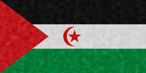 Velvet Flag - Western Sahara